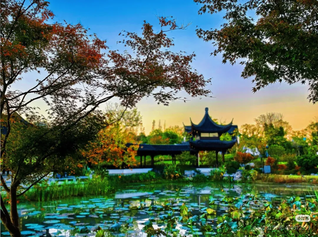 c627f23354c3057f2e00a22fb817ba6b-sz_1343098-1