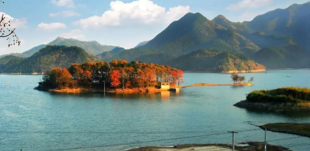 c62d4fe97ebdee47fdbeb3a7f9b20629-sz_432353