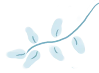 c6491b395ce496ed16a601c8b56c62d5-sz_30579