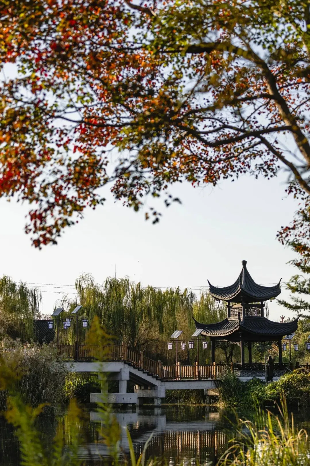 c65c57a09c9a0ccebd629e9a3cfb926a-sz_367874 c65c57a09c9a0ccebd629e9a3cfb926a-sz_367874