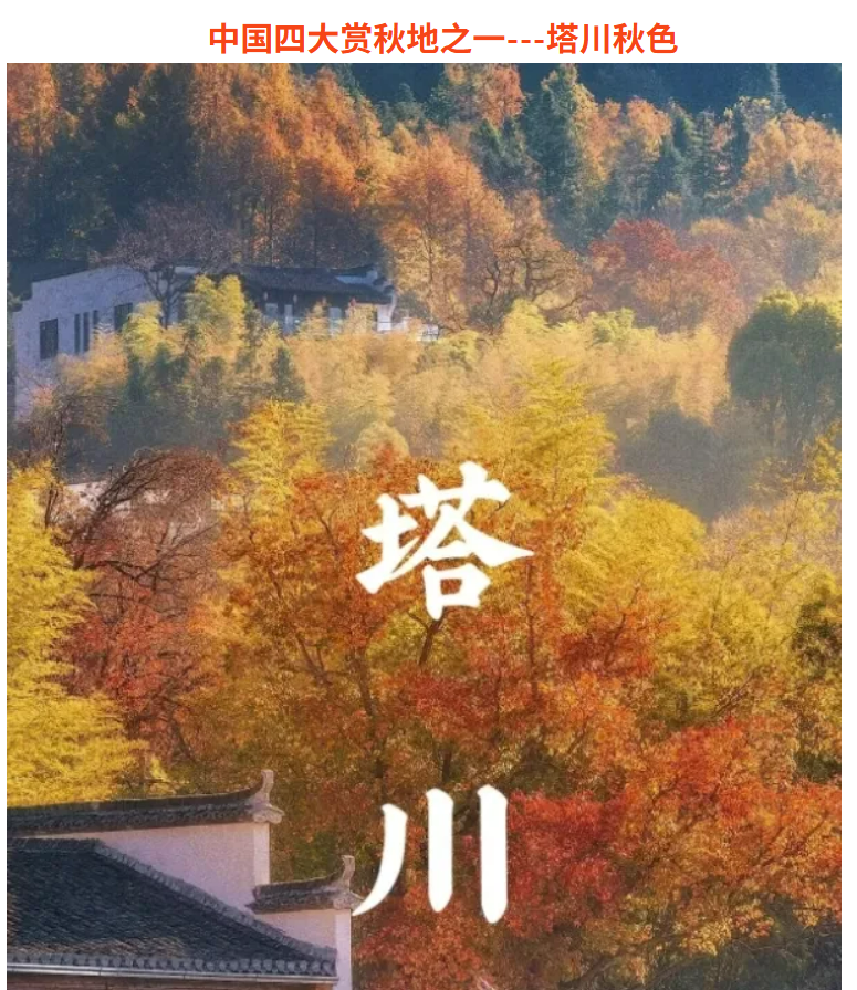 c6941ba1f49dde3ca79eb2613a112c37 c6941ba1f49dde3ca79eb2613a112c37