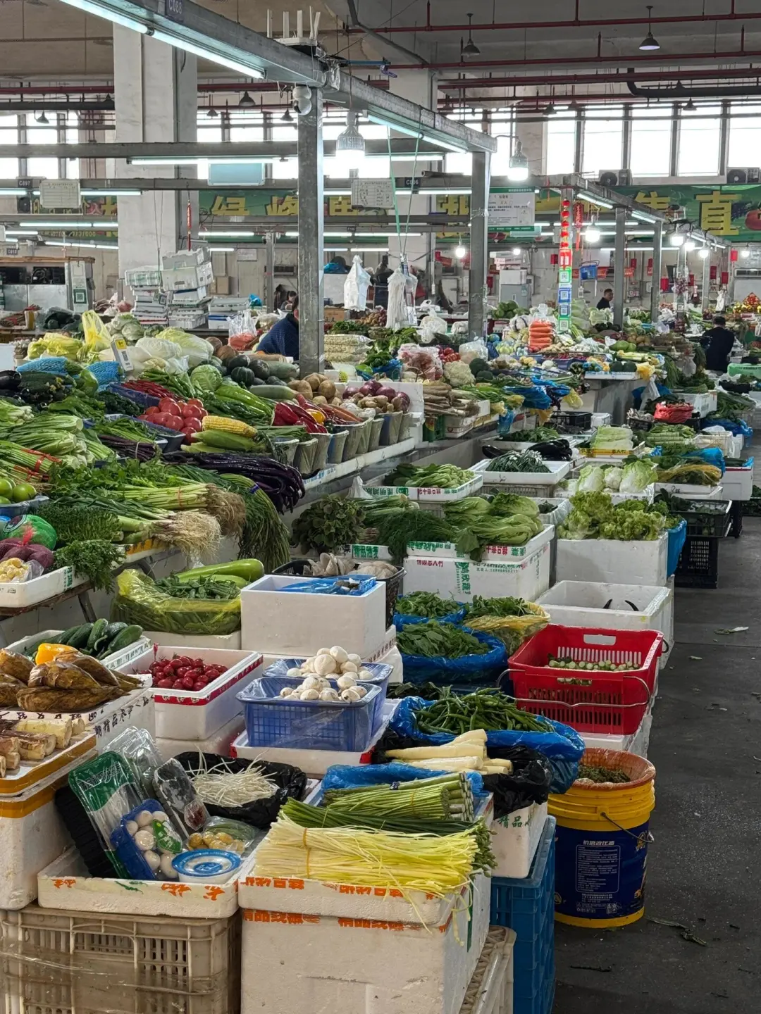 c6dcfcdbe146e01af05516c44150f078-sz_534615