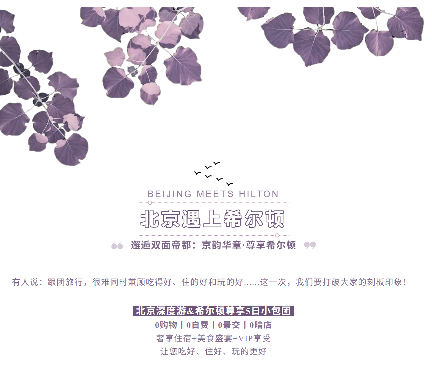 c6f2d3a8bd1a1e024649f331d008e00f