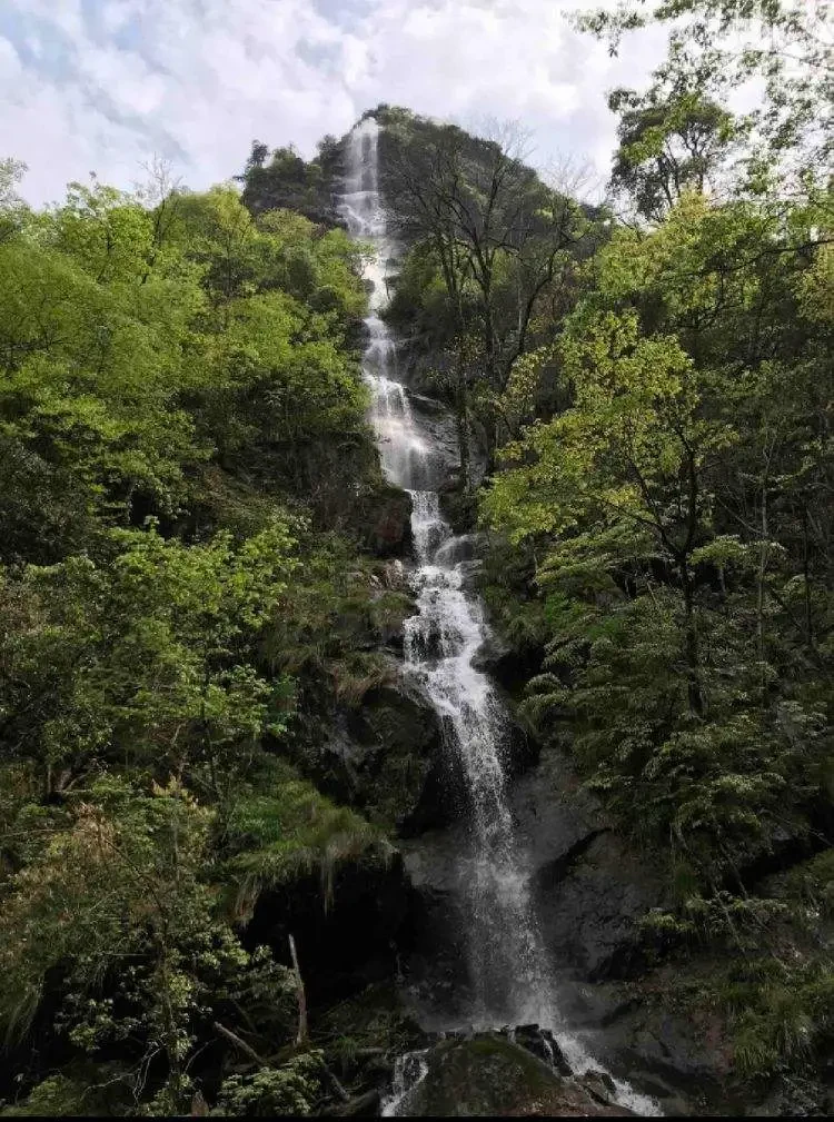 c6f8f3a8293d651fa1358be21510015c-sz_153415