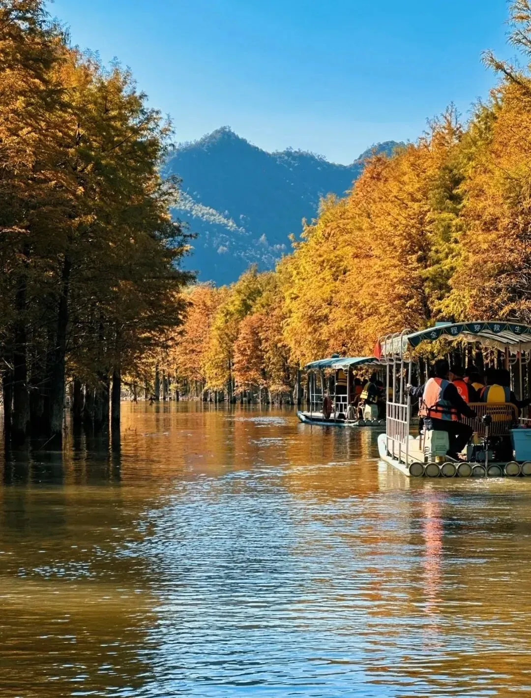 c730bcfd12f19e0df9a04d6cc5c495bb-sz_3627365