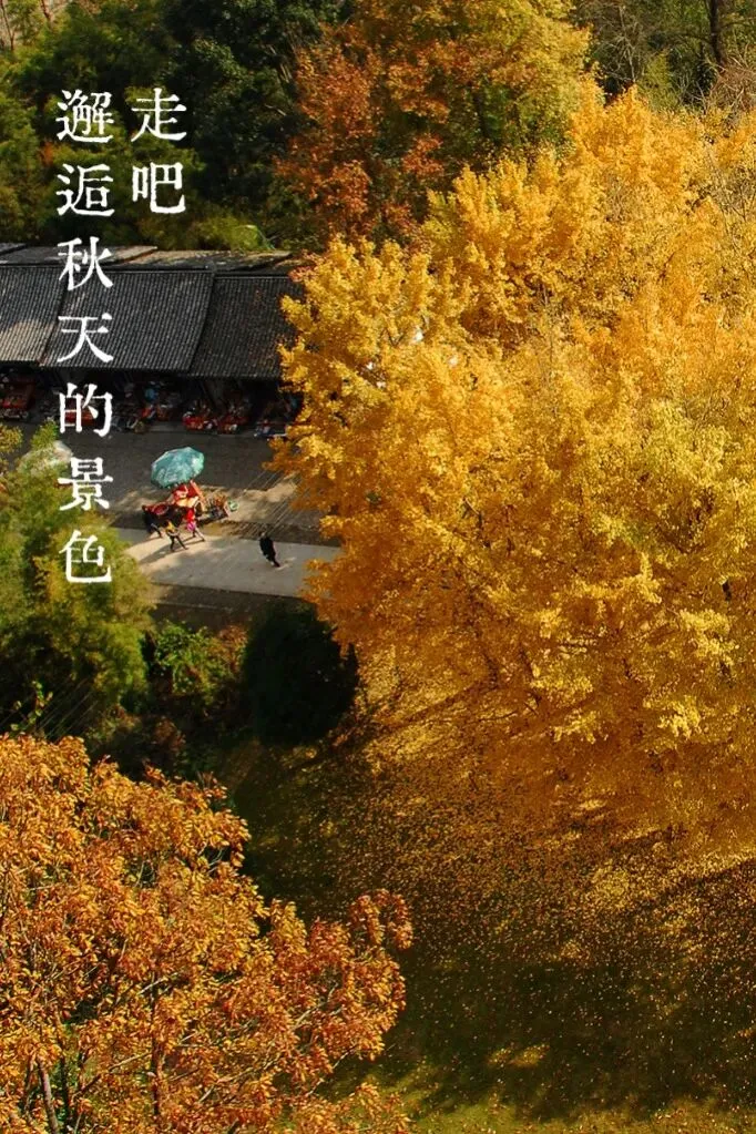 c735e70027ed242f9c9738391a47adc7-sz_1510897