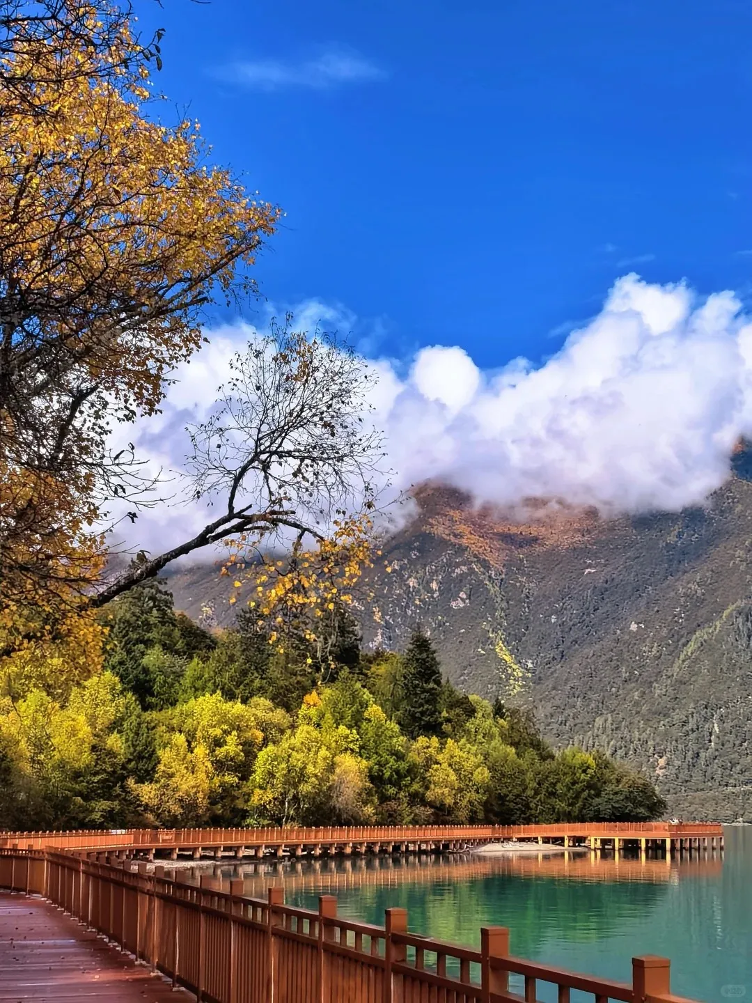 c74a3fc7043ec45d078a87c10e8b328a-sz_540185