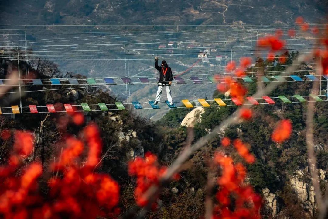 c79d8e79372207627161fec76b904c3b-sz_228964 c79d8e79372207627161fec76b904c3b-sz_228964