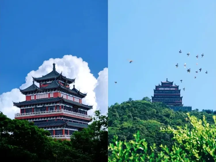 c7bc1affdd4f4015142962efc3f7ed11-sz_123354