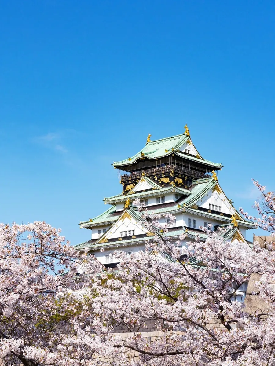 c7bf3857e2f5de8b5d2481f9f79514a5-sz_365654