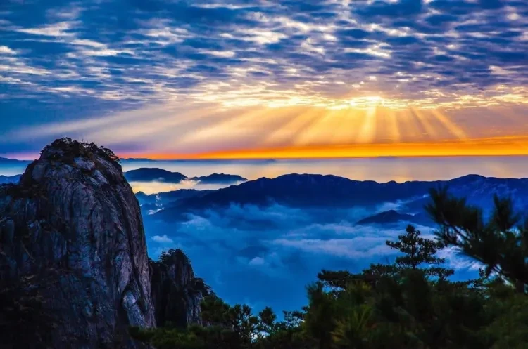 c7c316416f6928058cd511ffd323e8e7-sz_274937 c7c316416f6928058cd511ffd323e8e7-sz_274937