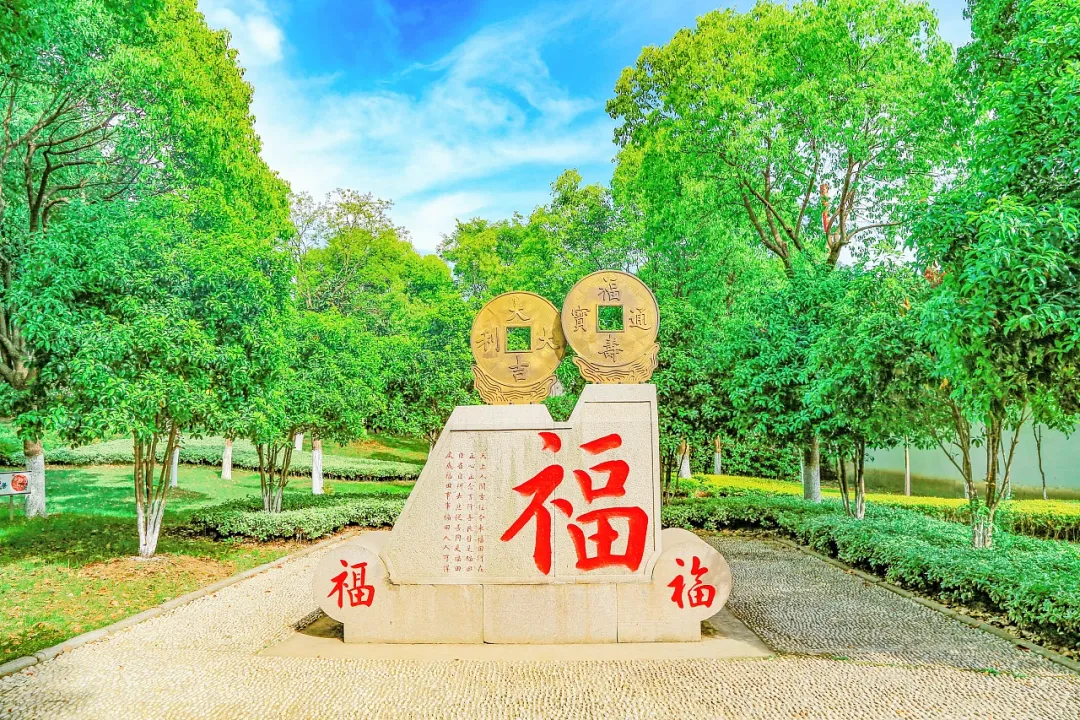 c7e66f481146f4acae9d42aafc467173-sz_3342458 c7e66f481146f4acae9d42aafc467173-sz_3342458