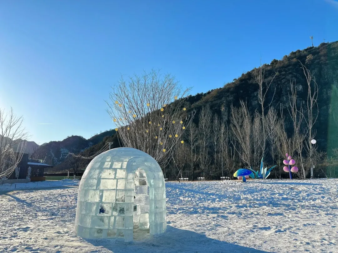 c83398f68eca568b724a838be7ef2241-sz_615010