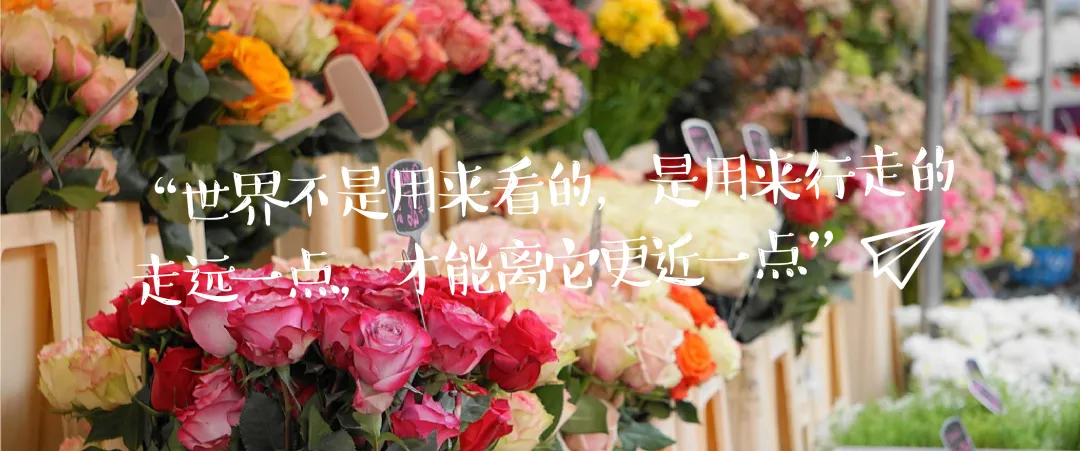 c850c147e53e31ce76758cd7e2404e47-sz_2865182 c850c147e53e31ce76758cd7e2404e47-sz_2865182