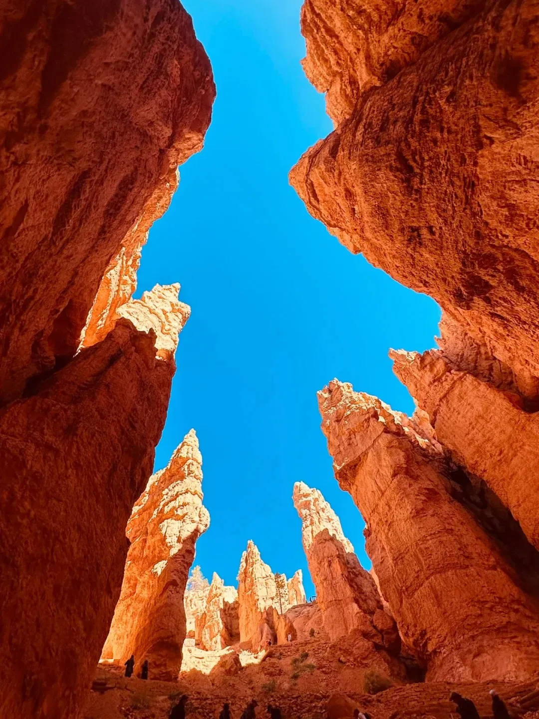 c89c176b184a436a6941e05390515d48-sz_579624 c89c176b184a436a6941e05390515d48-sz_579624