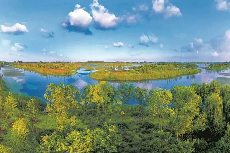 c89ff7685d4a59a613457c081e1fa584-sz_90037