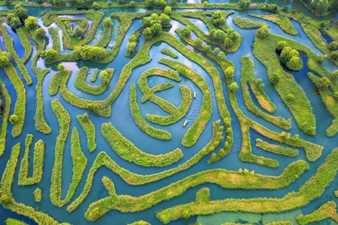 c8c51dc6b476944b70dee78b51c38f8b-sz_2248437