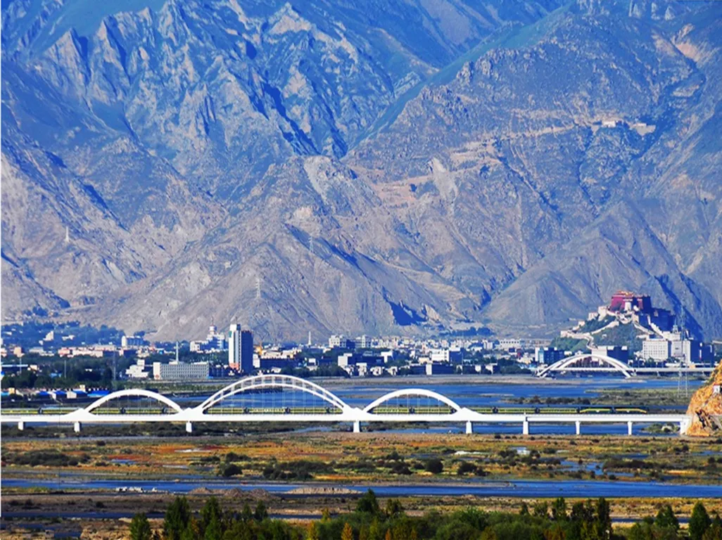 c8f74ba04b90b57583dd6fc8822c0950-sz_2371777-1