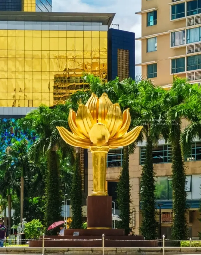 c90029047768f91a881028c56214dab0-sz_1553691 c90029047768f91a881028c56214dab0-sz_1553691