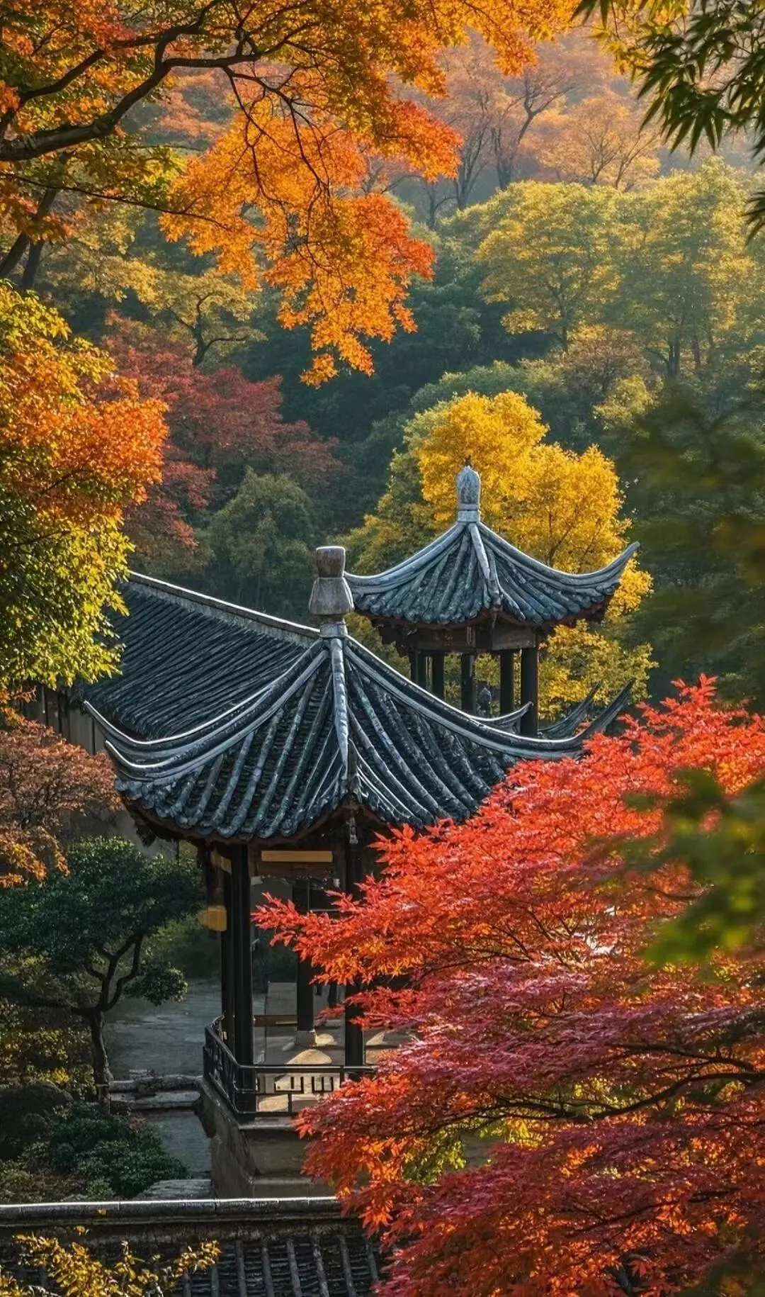 c920c5767c02383deb206b238d9368e0-sz_435274