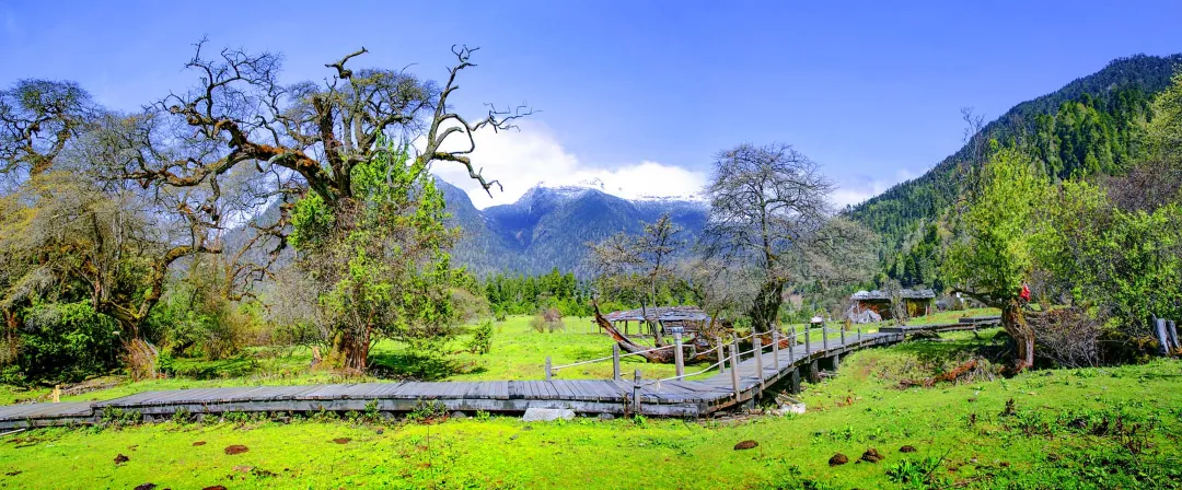 c933b3242fb1201af4fd844d078c516b-sz_1296072 c933b3242fb1201af4fd844d078c516b-sz_1296072