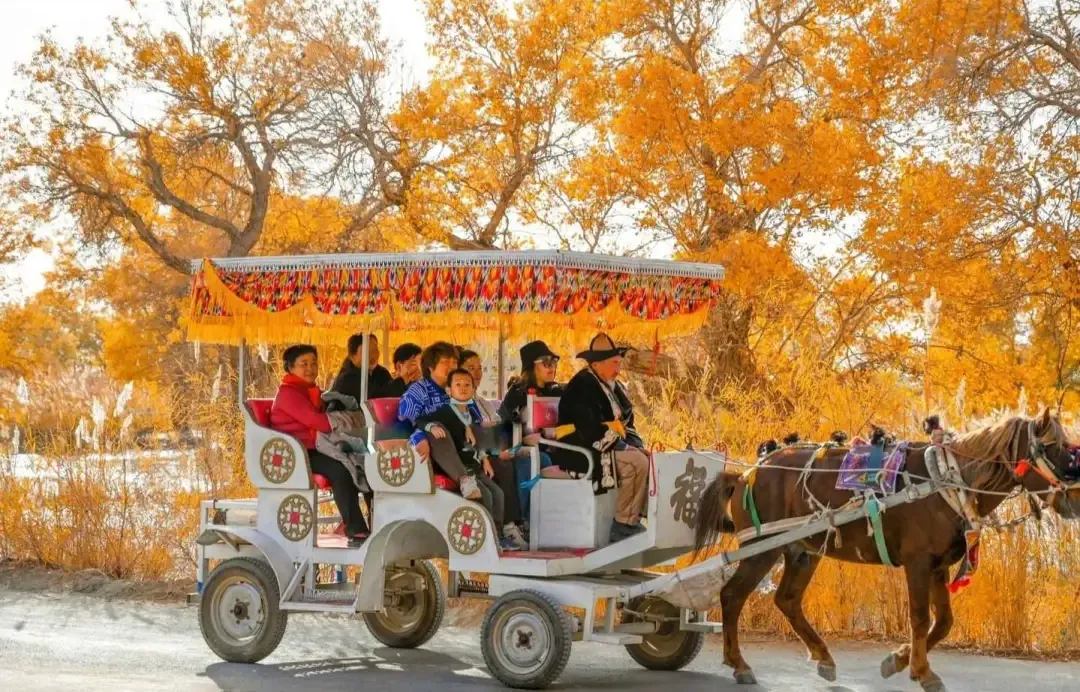 c94a3a2d8ed28c9af2cb4129a1f36b5c-sz_4269500 c94a3a2d8ed28c9af2cb4129a1f36b5c-sz_4269500