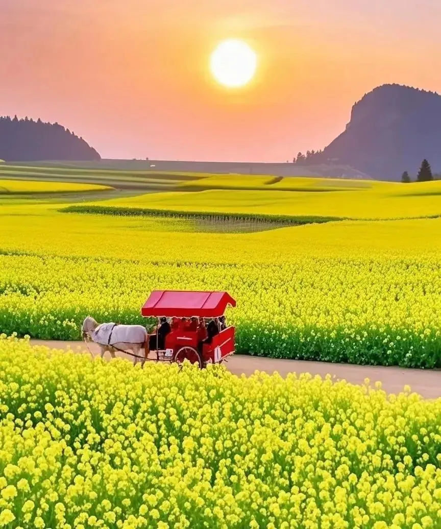 c999e2a63efe4188ae65c0a489c14e4b-sz_250500 c999e2a63efe4188ae65c0a489c14e4b-sz_250500