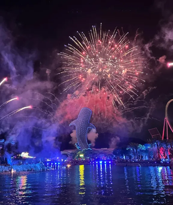 c99a338dca4193dc233158467af4d525-sz_835015