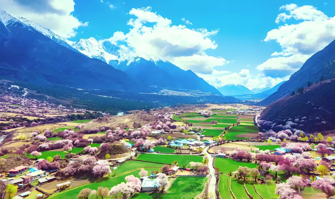 c9b0e4d4a4cd7865436cfbf52d29b604-sz_918220