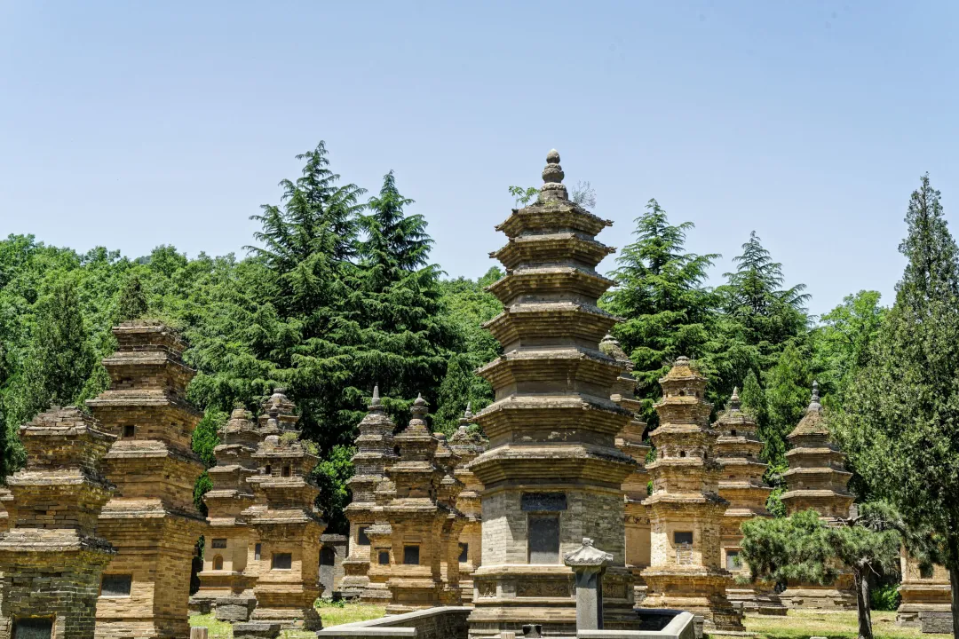 c9d162720822ffdd4ae09ffe68a6b852-sz_1012557-1 c9d162720822ffdd4ae09ffe68a6b852-sz_1012557-1