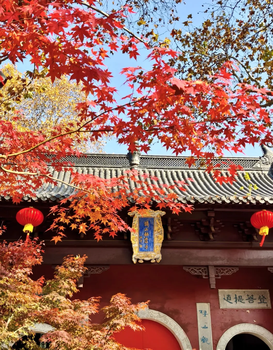 c9f25ef37c66f2c2b4ac7736af82f1cd-sz_2343708