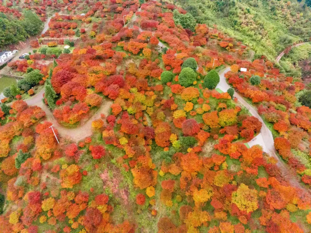 c9f9171a5a7eb1767b358ad49e7dfa39-sz_878429