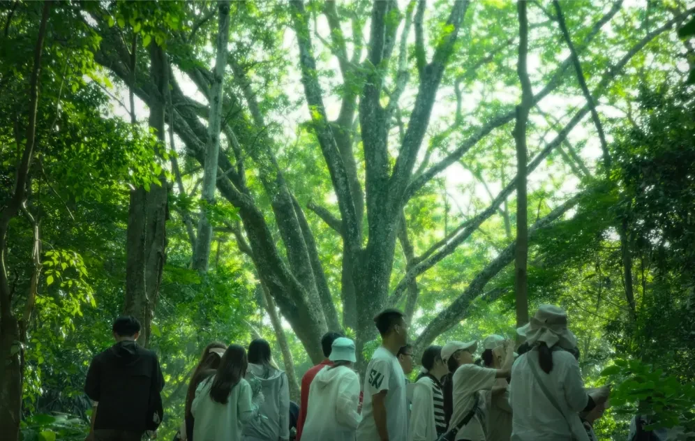 ca20a6bc6837e41c486073158a0182c5-sz_2473777