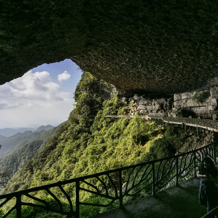 ca5303795e7aa063298ee3fdf28f5733-sz_6444964