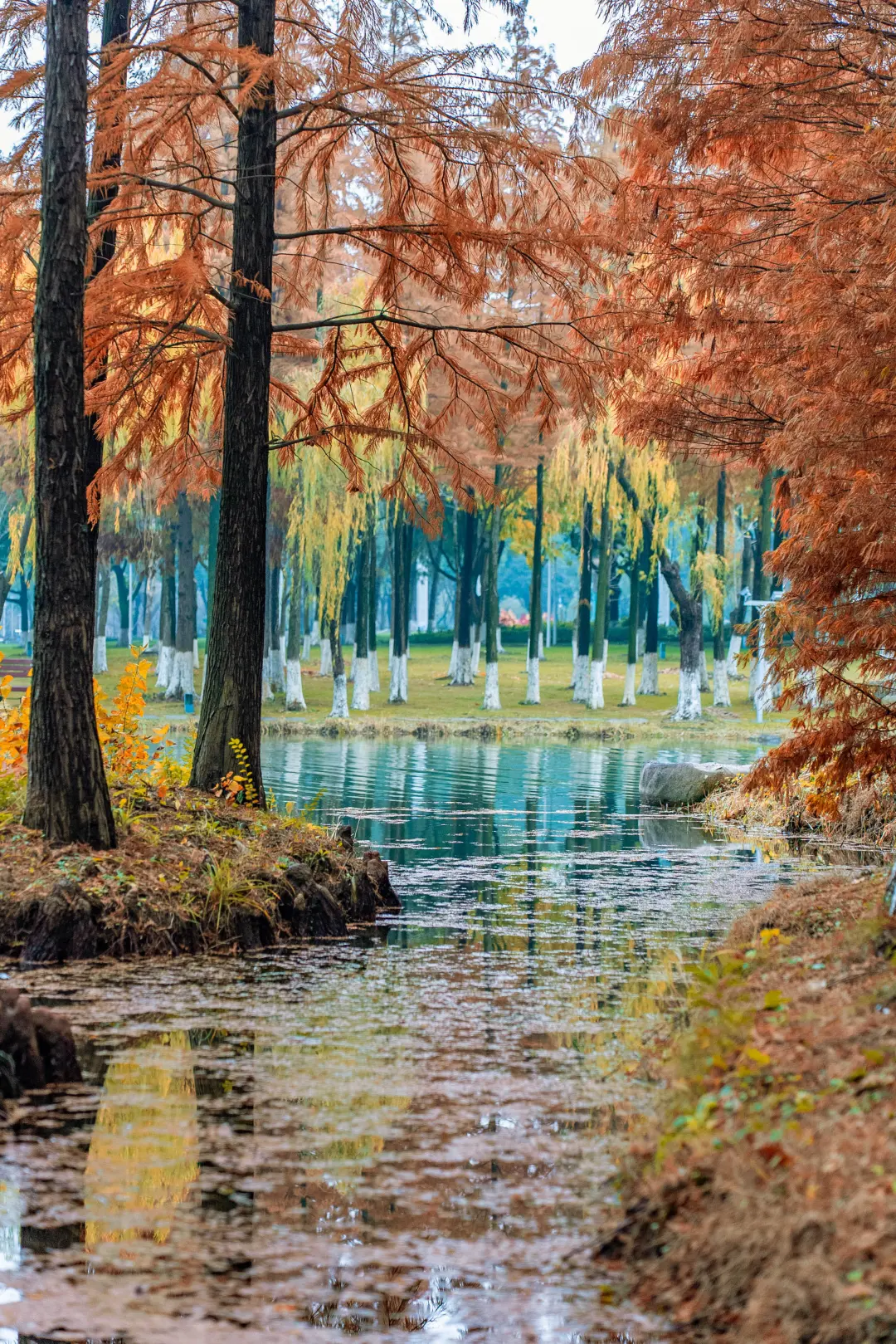 ca939a9ac0303f4e3eb2a7ca941ea552-sz_2331016