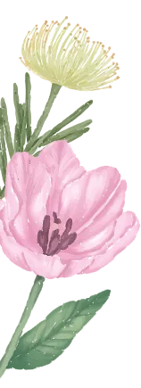 cafb6b3249ab1b036615c05973bedbdf-sz_84168