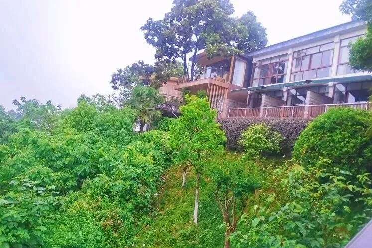 cb27081334859039a26a36a9bb5b6921-sz_107161