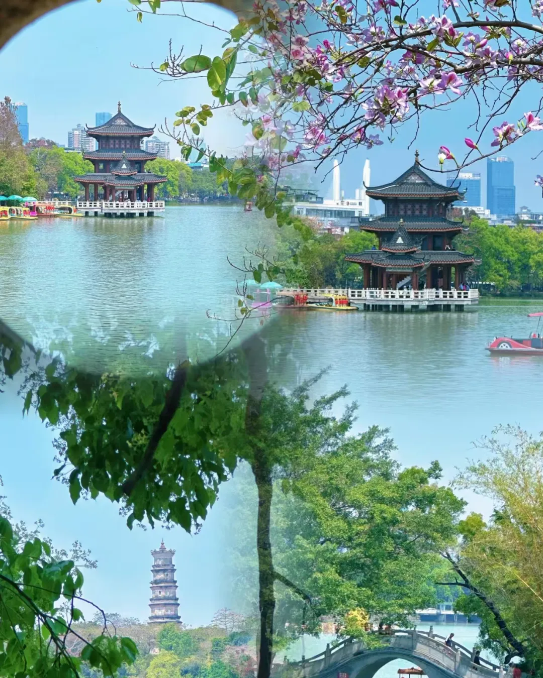 cb2b2409e8cf3860d274cf8821c0ef01-sz_1610935 cb2b2409e8cf3860d274cf8821c0ef01-sz_1610935