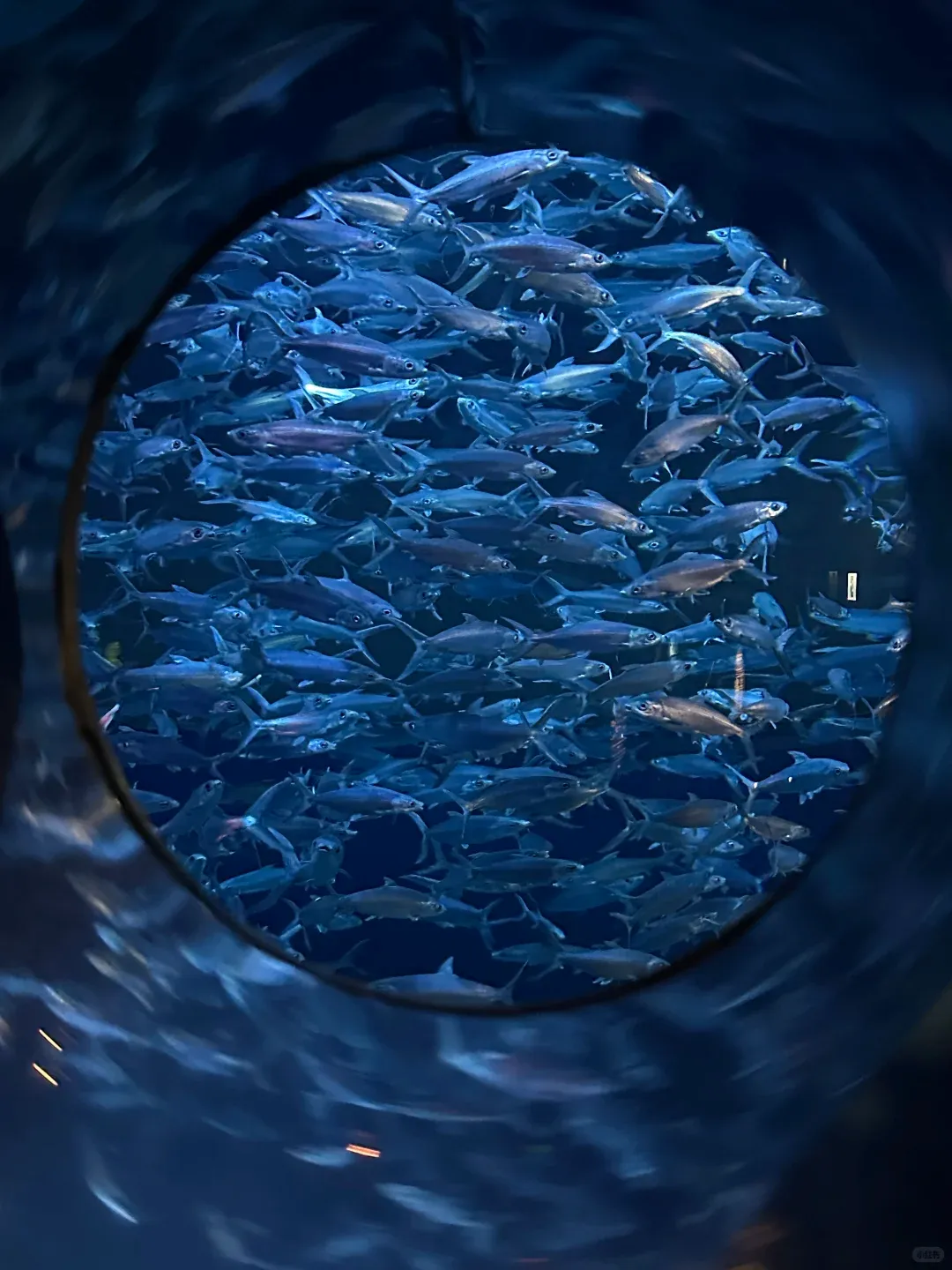 cb3a09696090862efd0e329fb9d2ac7c-sz_1766854