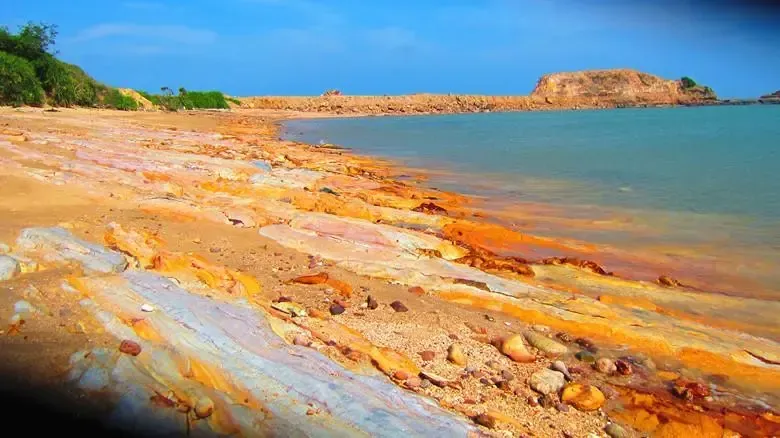 cb404bf4d79db2b7c443b8d0c581be57-sz_761799