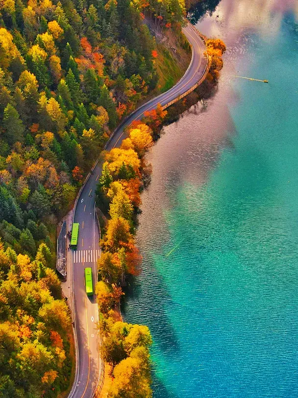 cb58af3382c6addccba0406b66ef4f61-sz_2569923