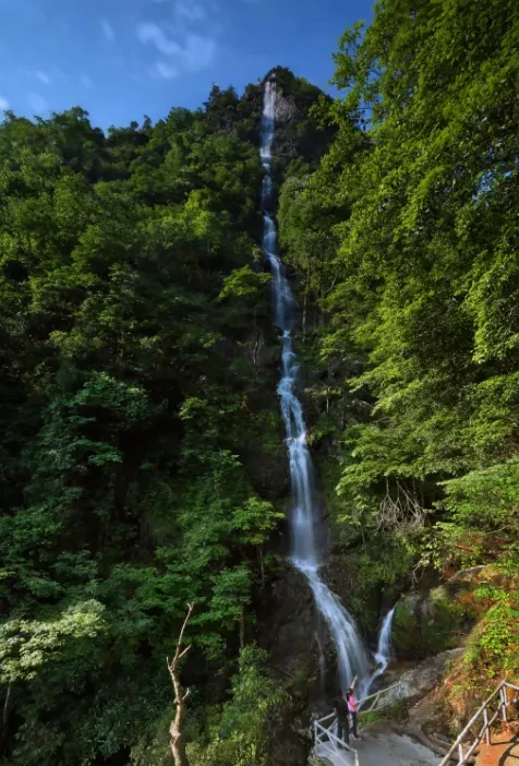 cb9da60c486d908b2117d27c393f9d43-sz_814446