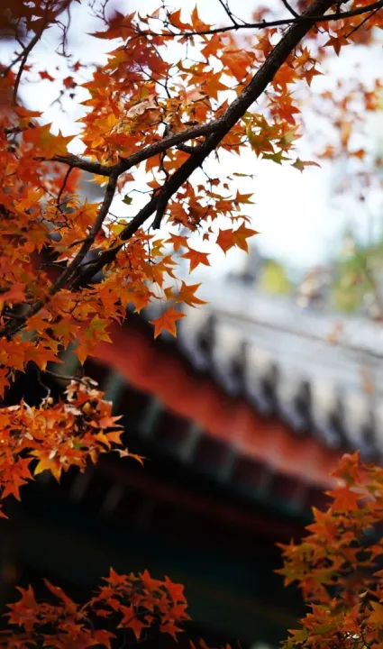 cbdcf2c864c591c5fafc51f4c224e94f-sz_414724-1 cbdcf2c864c591c5fafc51f4c224e94f-sz_414724-1