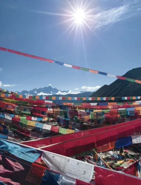 cbe1d5df18ce5c716ce1af3383c3ca3a-sz_463055