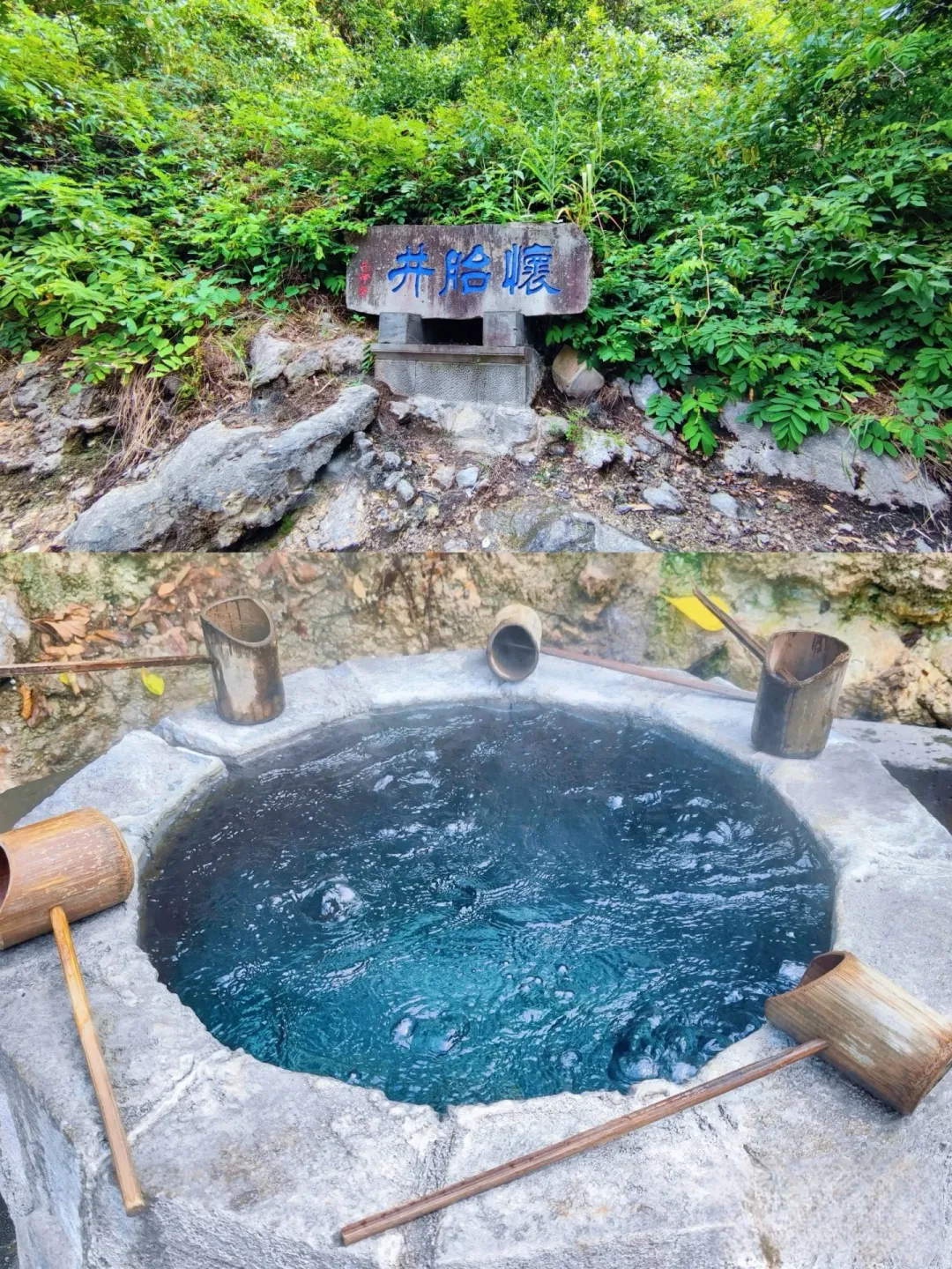 cbfc26d48c008ba7a25d1229f505843f-sz_3662329-1