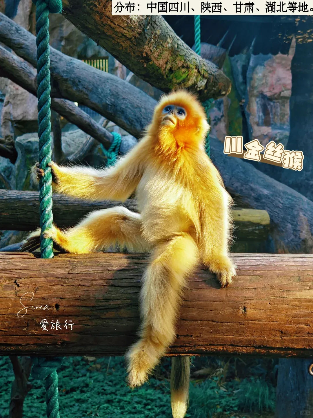 cc01458ca0df0b133d36cf6acc74c59f-sz_3702917 cc01458ca0df0b133d36cf6acc74c59f-sz_3702917