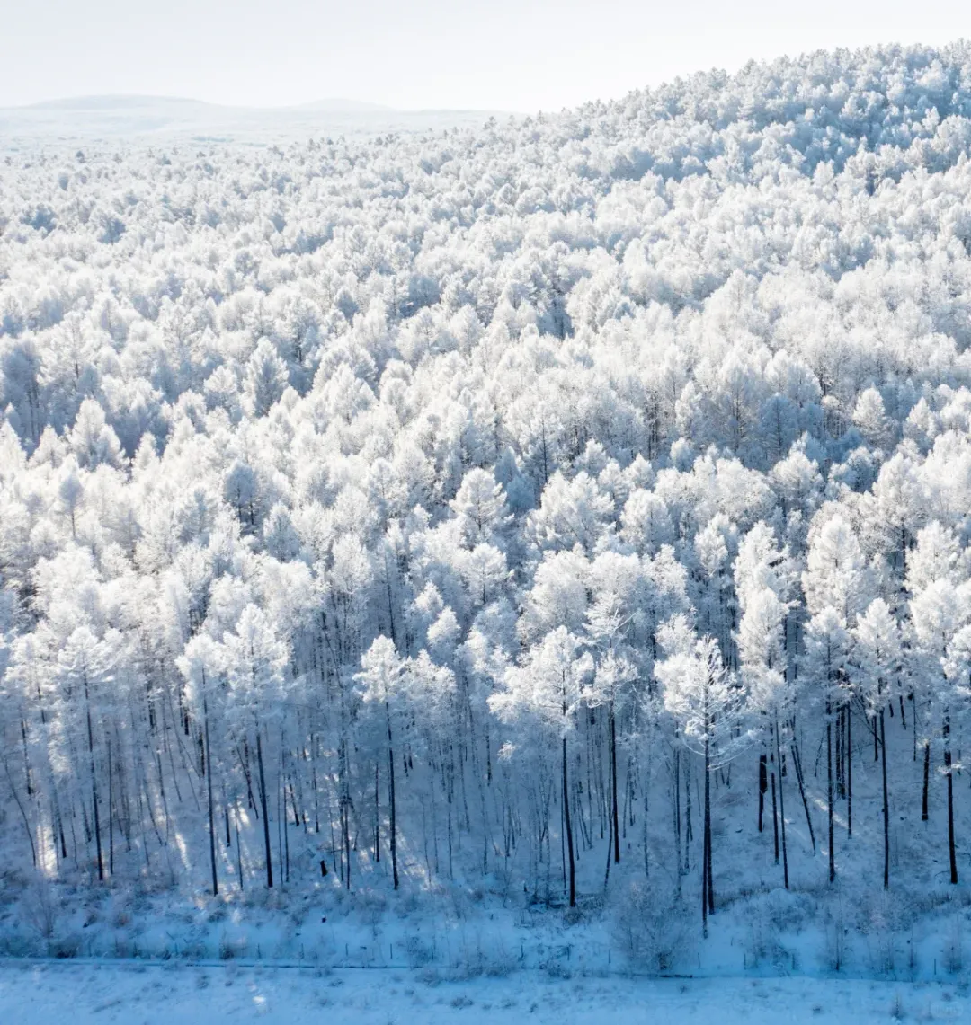 cc0934eaac498466d2dff8c02adf8a15-sz_2146968