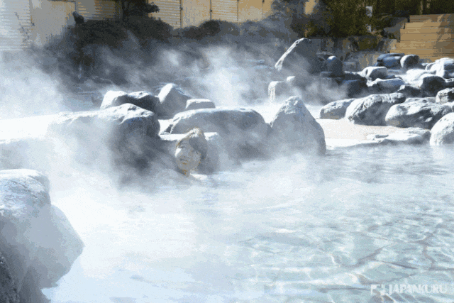 cc372f58b1b6684e8195b70c9a0a1339-sz_439198