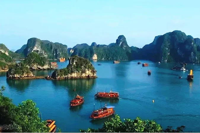 cc8d2b9e7eb225449d614d18f00150f6-sz_583900