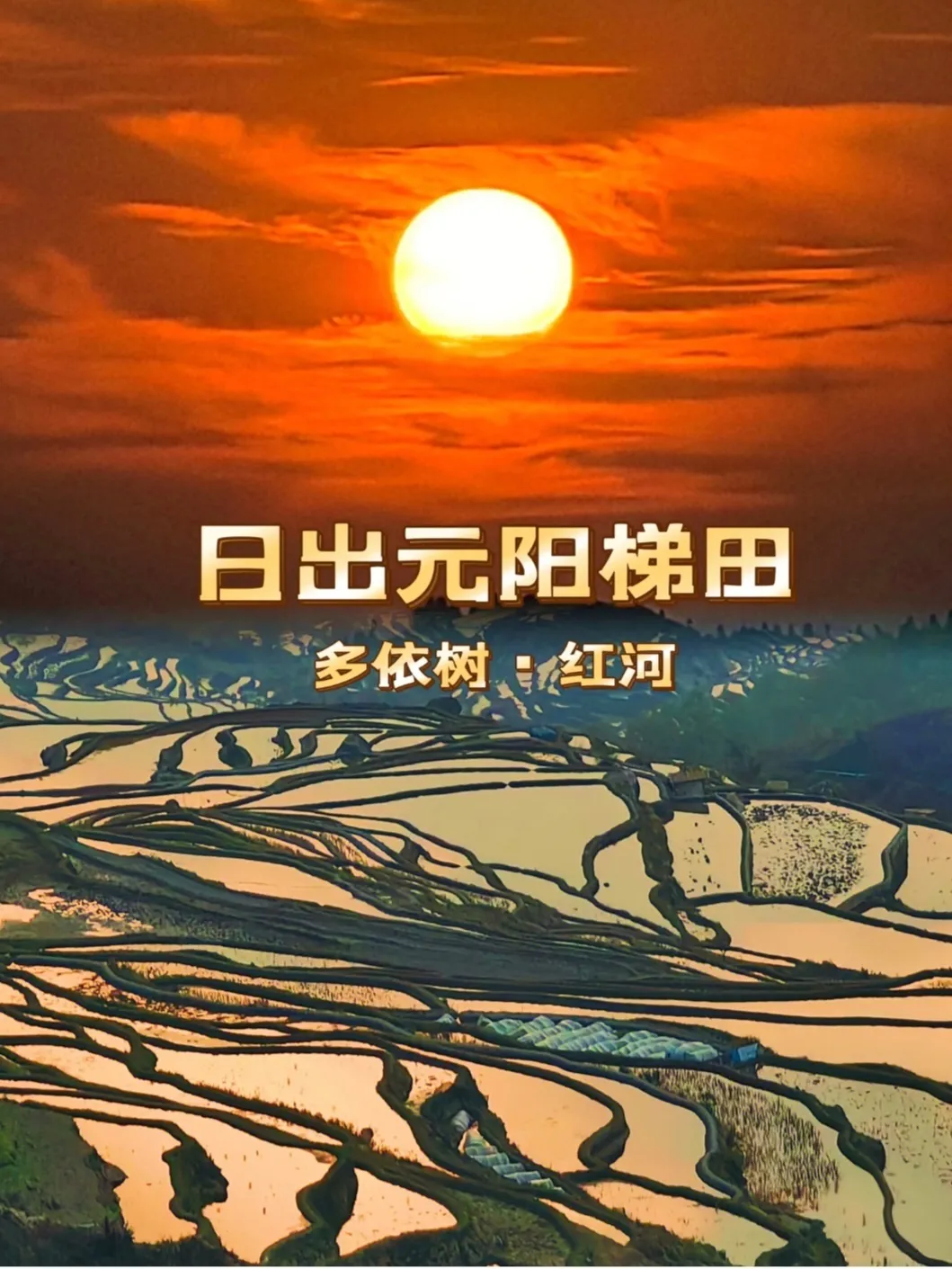 cc8f8cce3b99f8d990e2204077b3bc84-sz_475536